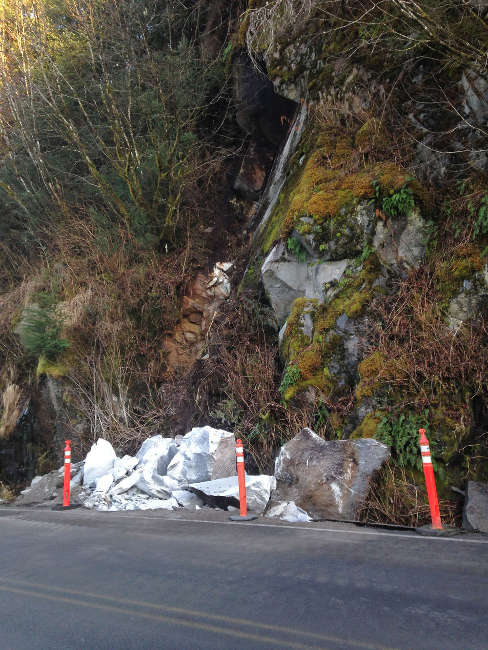 rock road kill by the cliff